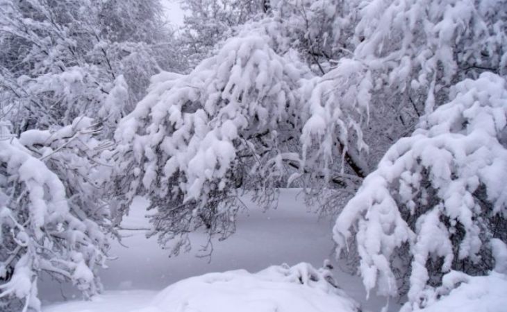 Обильные снегопады и 20-градусный мороз ожидаются в пятницу в Алтайском крае