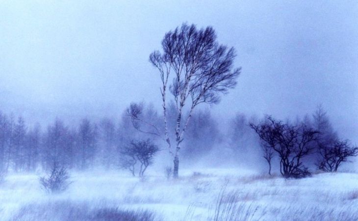 Похолодание со снегом и метелями ожидается в пятницу в Алтайском крае