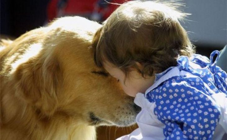 Собака спасла брошенного на холоде ребенка в Алтайском крае