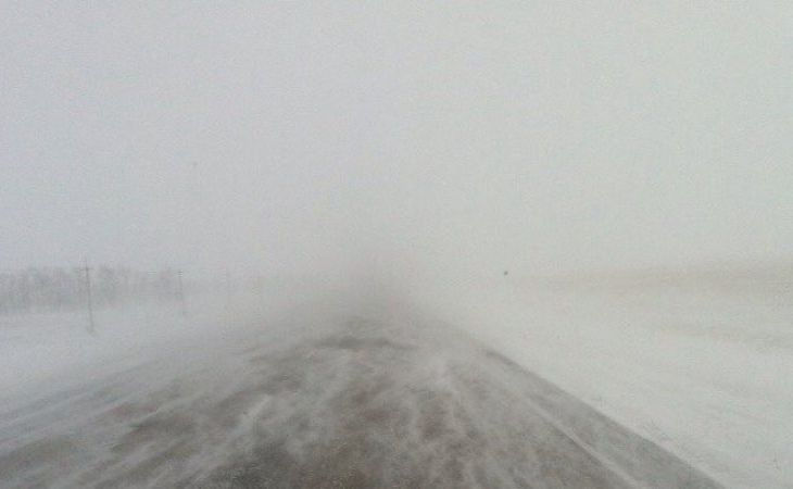 Метели, штормовой ветер и снег: Алтайский край продолжает находиться во власти непогоды