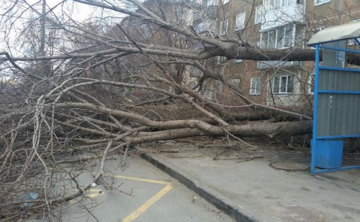 Весенний шторм сорвал крыши и повалил деревья в Барнауле - фото