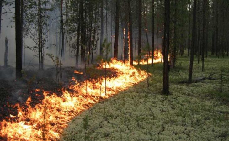 Авиалесохрана присвоила "оранжевый" класс пожарной опасности Алтайскому краю