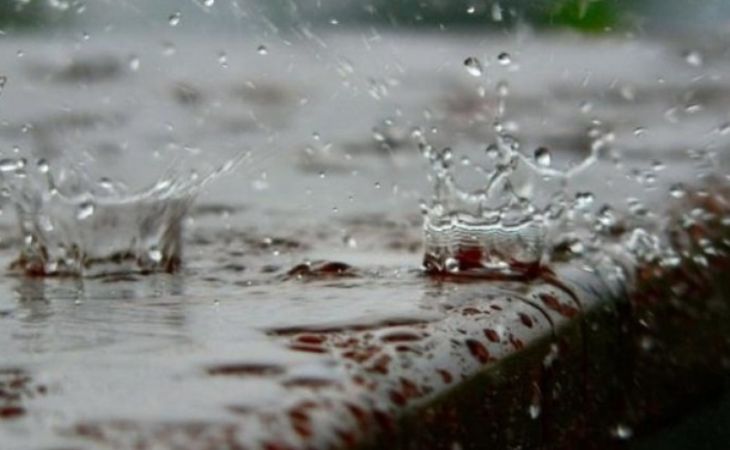 Дожди, грозы и град прогнозируют синоптики на четверг в Алтайском крае