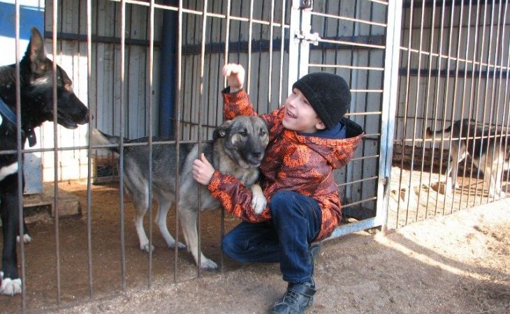 Барнаульцы пожертвовали свыше 11 000 рублей для приюта бездомных животных "Ласка"