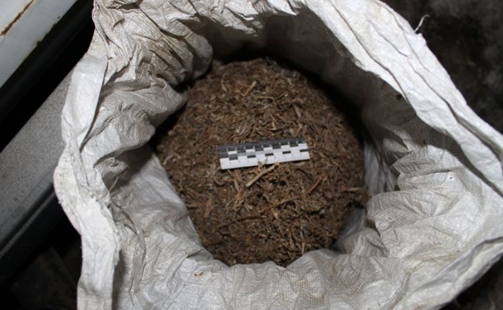 Большой куш: алтайские полицейские изъяли 2,5 кг марихуаны