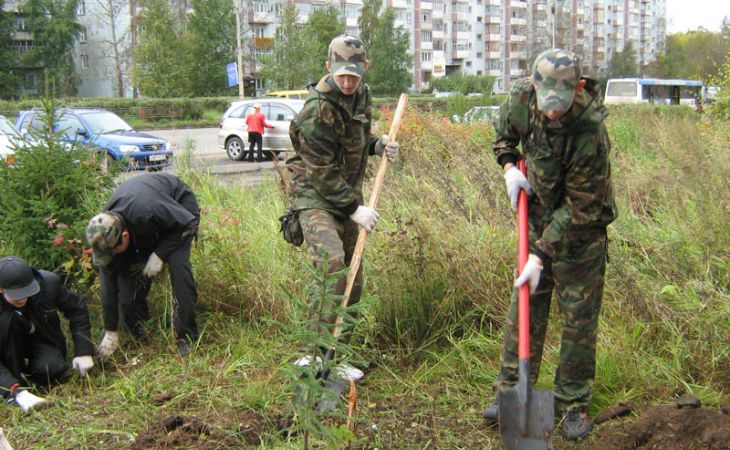 На озеленение Барнаула выделят более 3,5 мли рублей