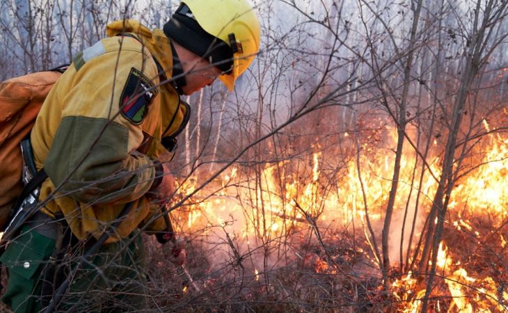 Предварительный прогноз пожарной опасности в лесах российских регионов