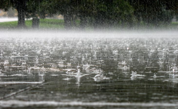Погода 24 июля в Алтайском крае: дождь и ветер