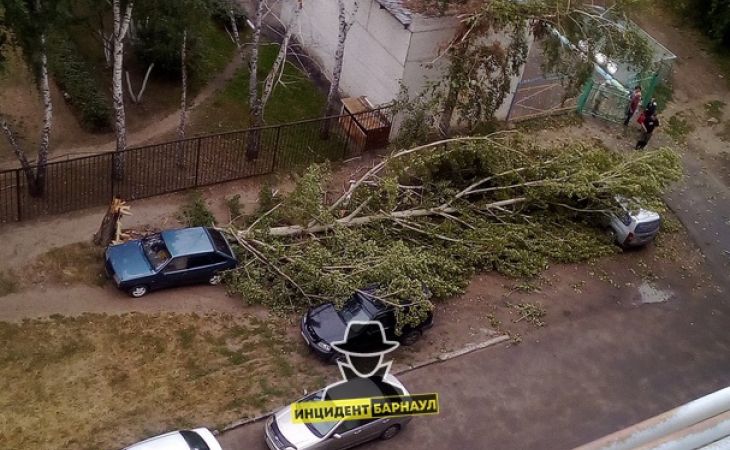 Ураганный ветер повалил деревья и конструкции в Барнауле