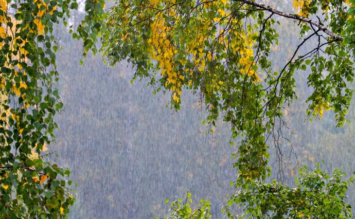 Погода 28 августа в Алтайском крае: осень на пороге