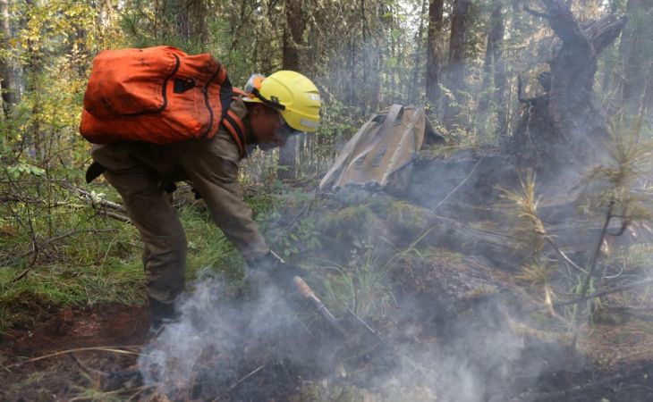 136 лесных пожаров произошло за неделю в 20 регионах России