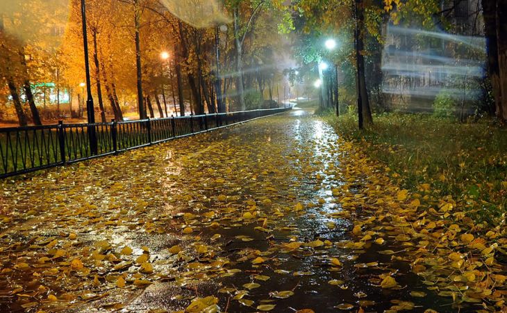 Погода 1 октября в Алтайском крае: дожди и до +15