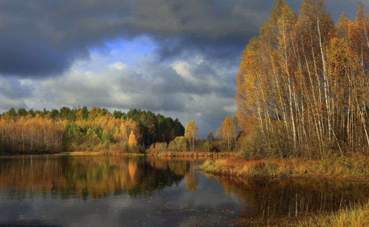 Погода 4 октября в Алтайском крае: без осадков и до +17