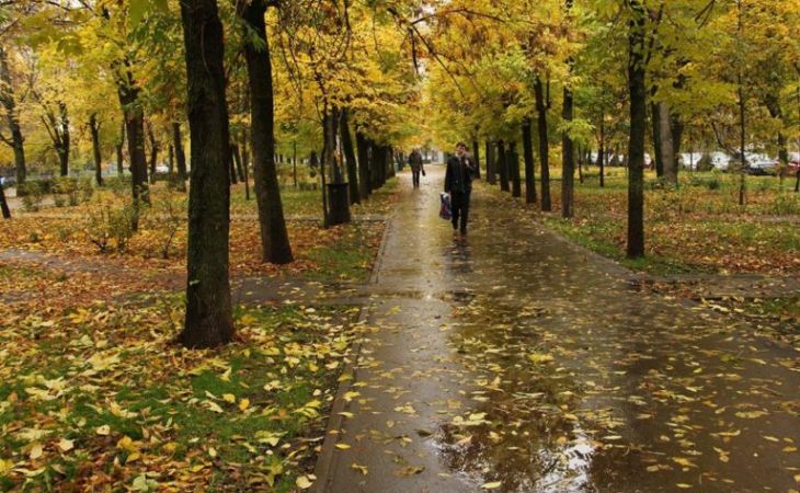 Погода 19 октября в Алтайском крае: дожди, ветер и похолодание