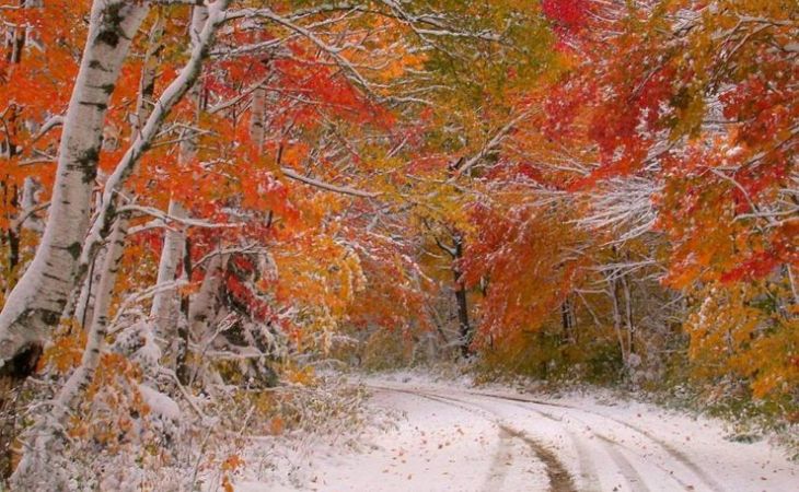 Погода 22 октября в Алтайском крае: снег выпадет в регионе