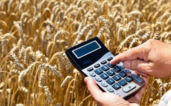 Россельхозбанк увеличит долю в обслуживании экспорта АПК до 35% к 2024 году