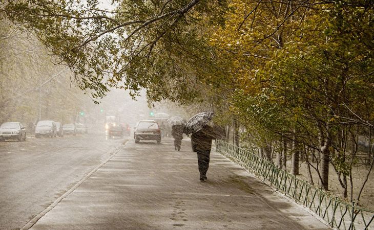 Погода 30 октября в Алтайском крае: мокрый снег, дождь и ветер