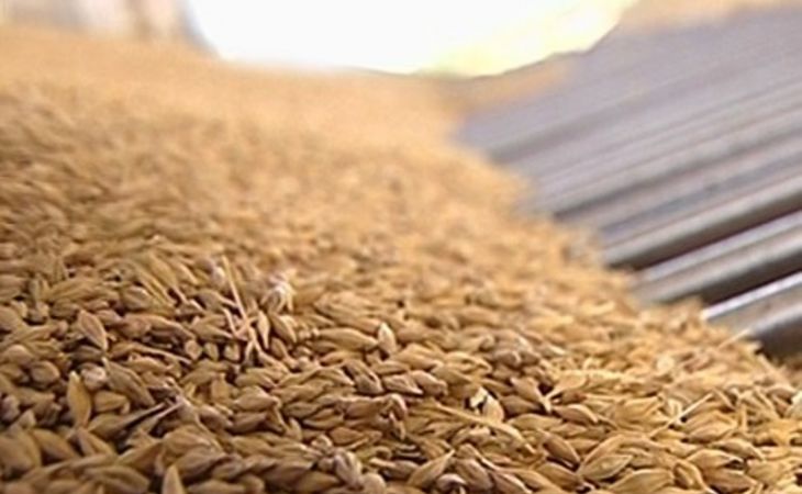 Алтайские аграрии за счет господдержки смогут экспортировать в 2019-м до 300 тыс. тонн зерна