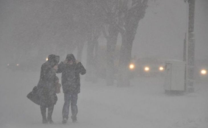 Метель, гололед  и ветер до 20 м/c прогнозируют синоптики в Алтайском крае