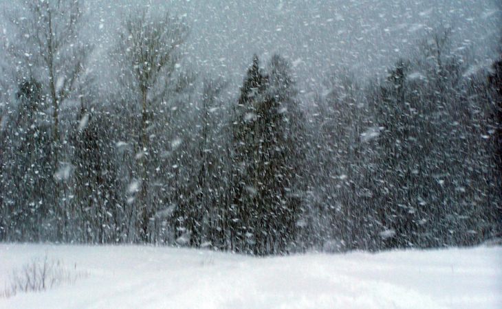 Погода 26 ноября в Алтайском крае: снег, метель и ветер