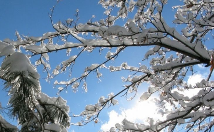 Погода 27 ноября в Алтайском крае: снег и тепло в регионе