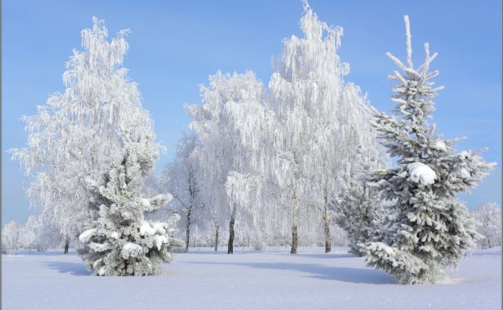 Погода 5 декабря в Алтайском крае: в регионе морозы до -30