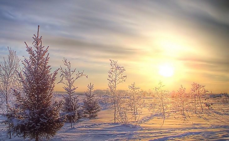 Погода 6 декабря в Алтайском крае: морозы до -24