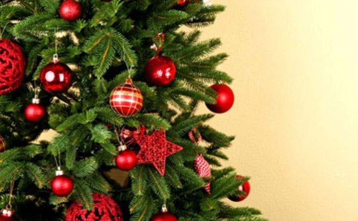 Где в Барнауле можно купить новогоднюю елку. Карта