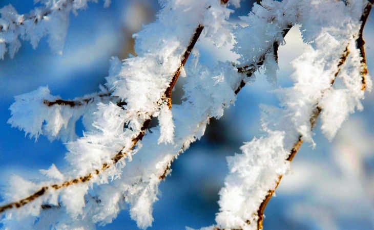 Погода 12 декабря в Алтайском крае: долгожданное потепление пришло в регион