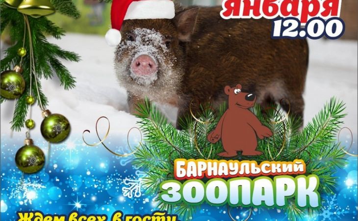 Барнаульский зоопарк 2 января проведет новогодний праздник