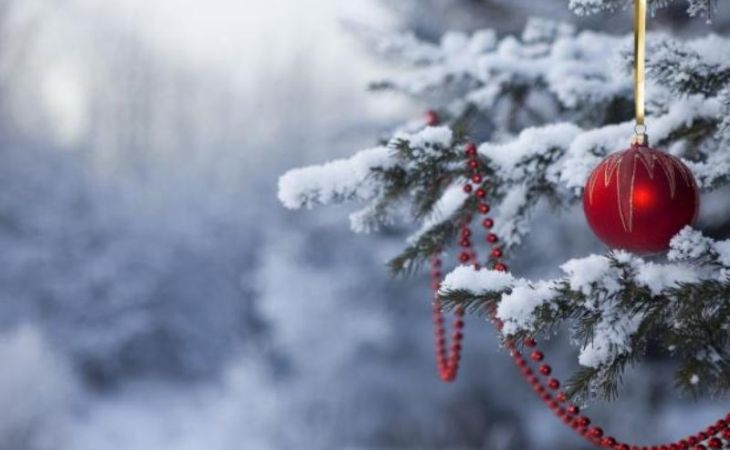 Без снега и мороза: какая погода ожидается 2 января в Алтайском крае
