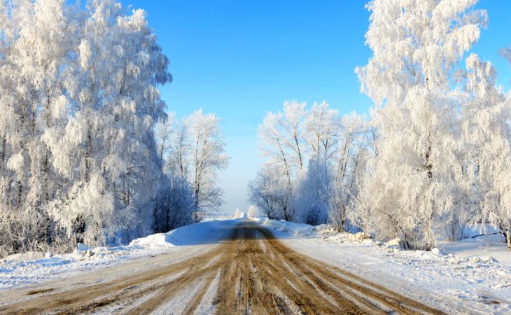 Погода 17 января в Алтайском крае: в регионе до -14 градусов