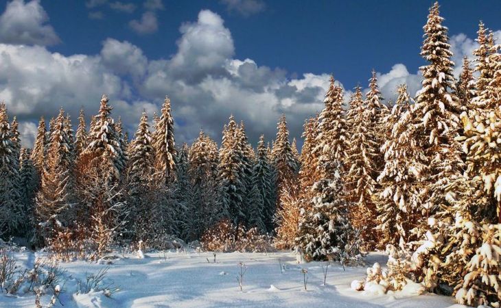 Погода 18 января в Алтайском крае: до -13 градусов и без осадков
