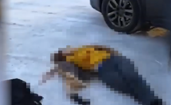 Мужчина убил на парковке в Щелково свою бывшую жену: видео и подробности