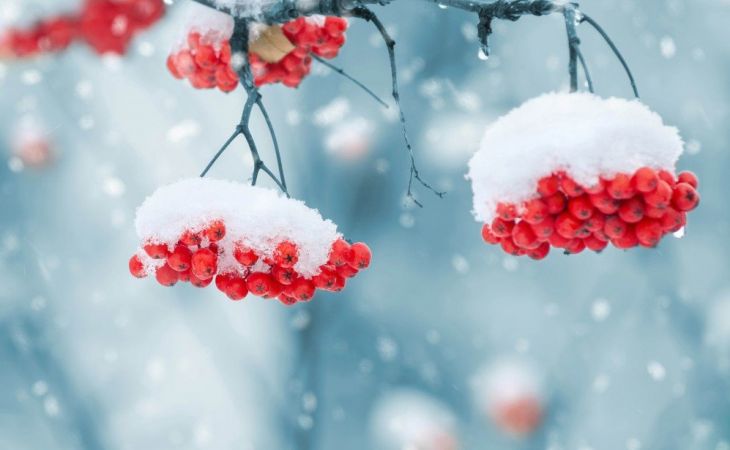 Погода 31 января в Алтайском крае: снег, ветер и резкое похолодание