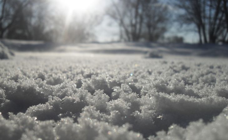 Погода 11 февраля в Алтайском крае: в регионе до -20 градусов и снег
