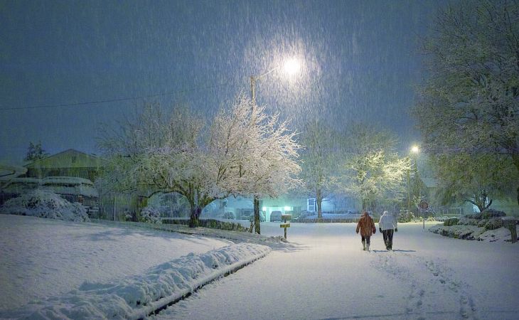 Погода 18 февраля в Алтайском крае: мокрый снег, ветер, метель и до +3 градусов