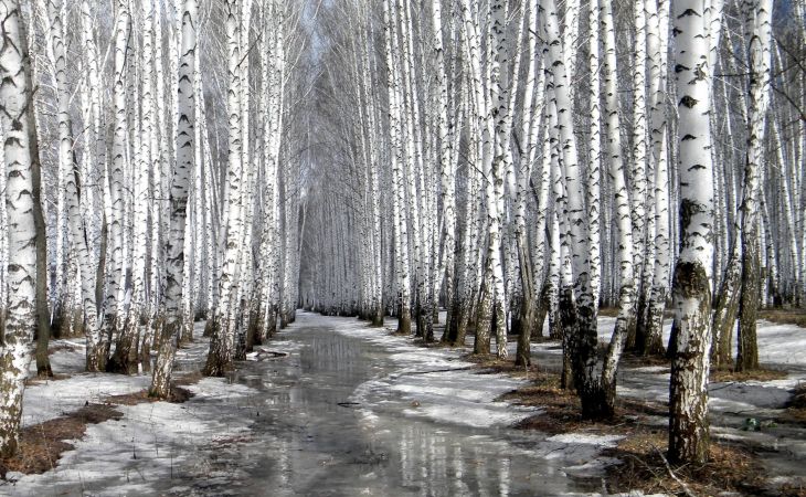 Погода 4 марта в Алтайском крае: до +10 градусов в регионе