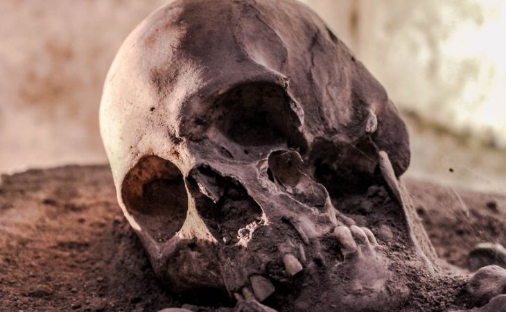 В Алтайском крае впервые нашли фрагменты черепа денисовского человека