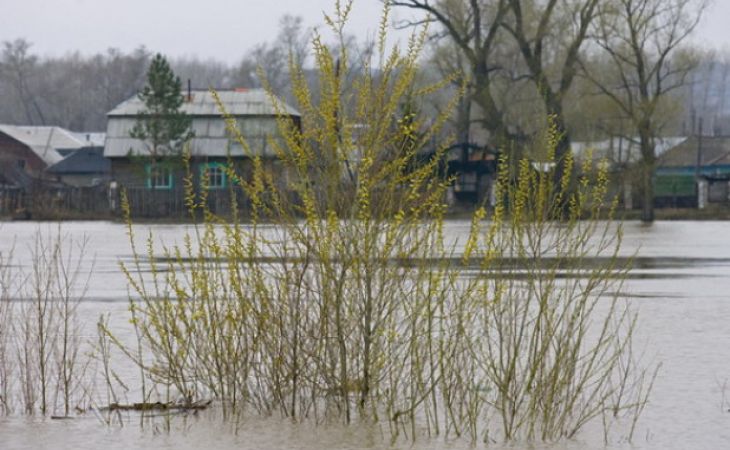 Первые подтопленные талыми водами дома появились в Барнауле