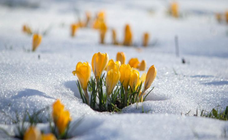 Погода 26 марта в Алтайском крае: без осадков и до +13 градусов