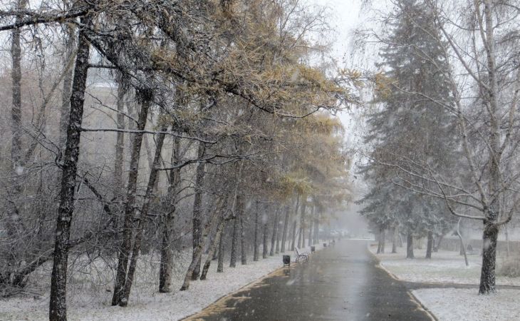 Погода 30 марта в Алтайском крае: ветер, дождь и мокрый снег