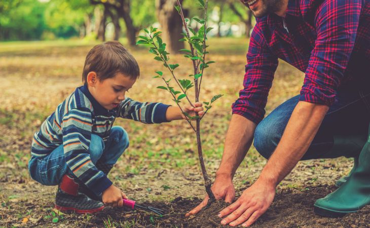 Посадить собственное дерево может любой барнаулец в парке "Центральный"