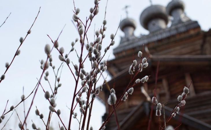 Вербное воскресенье празднуют православные россияне