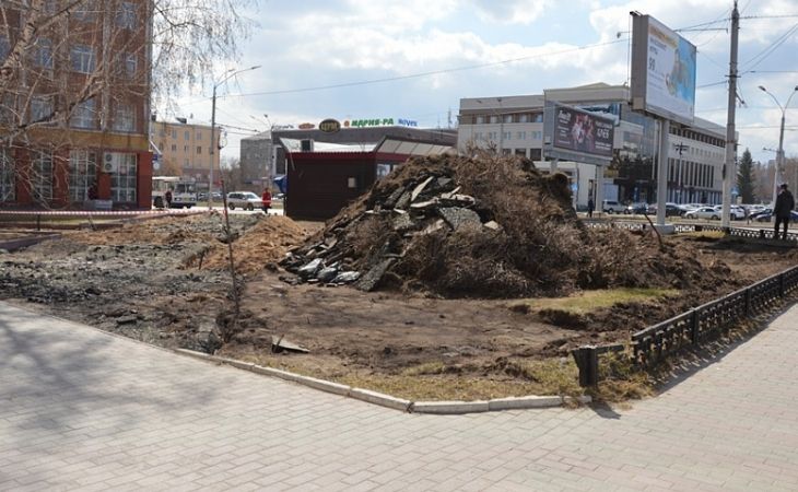 Где в Барнауле появятся новые зеленые уголки