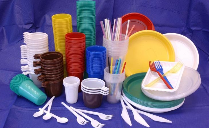 Пластиковую посуду могут запретить в России