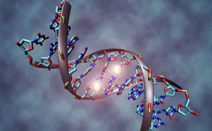 Ученые нашли ген, который поможет вылечить болезнь Дауна