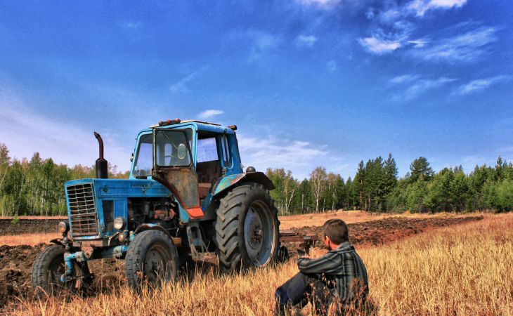 Самыми востребованными в сельскохозяйственной отрасли стали трактористы