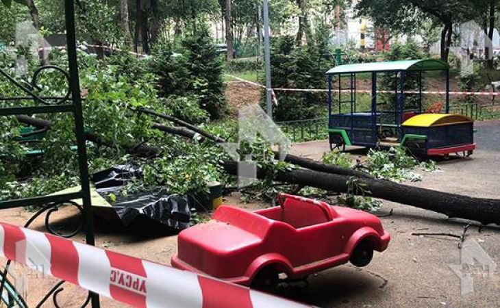 Трехлетний ребенок погиб в Москве - упало старое дерево