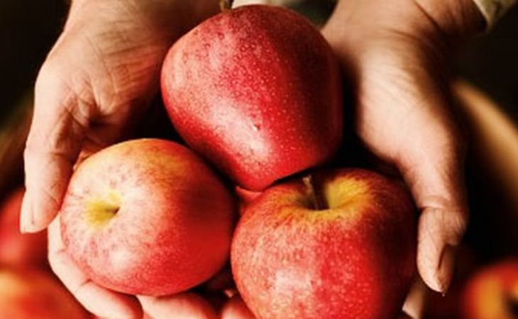 Яблоки становятся слишком сладкими из-за глобального потепления